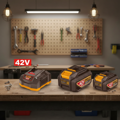 INGCO 42V 2x2.5Ah Battery + Charger Kit | P42M | FBCPM25221 | South Africa