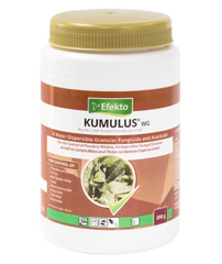Efekto Kumulus 250g