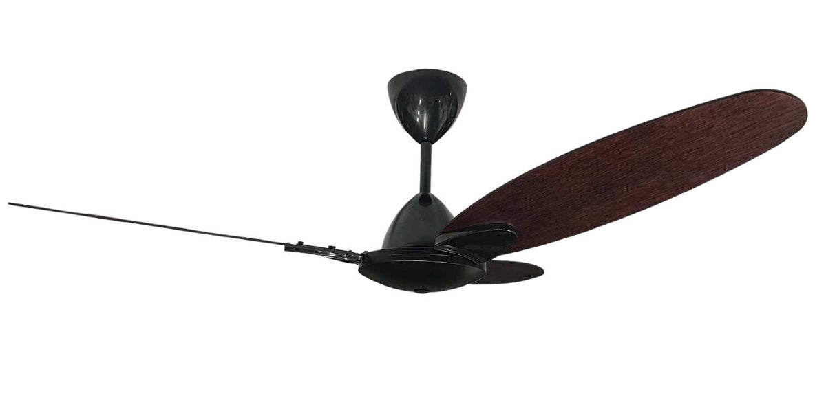 SOLENT FAN Senorita Motor Black 3 x 1200mm Wood Blades Mahogany + Reg1F1S Wall Controller