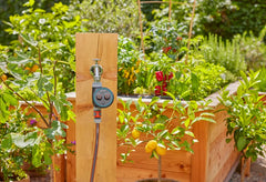 Gardena Water Control EasyPlus | Automatic Garden Watering Timer | South Africa