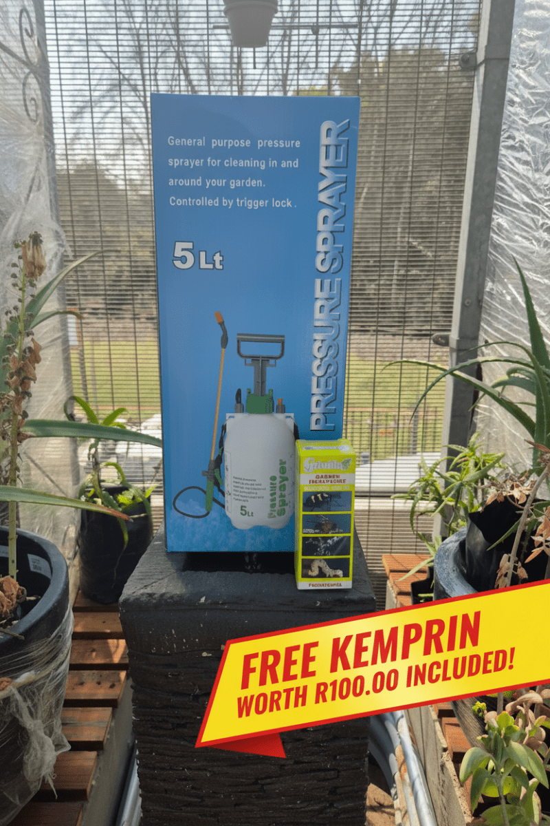 Pressure sprayer (5L) grovida
