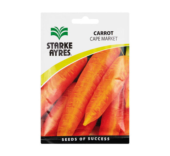 Starke Aryes Carrot Seed