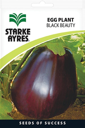 Starke Ayres Eggplant Seed