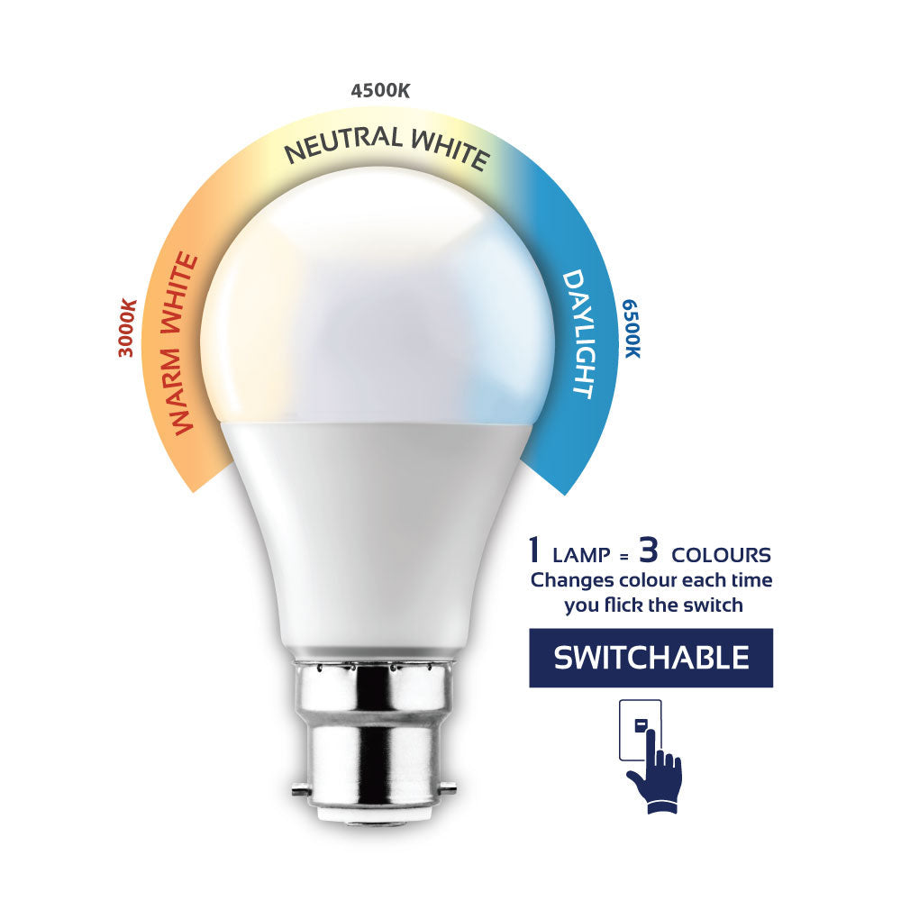 Eurolux B22 7W Switchable LED Opal Globe