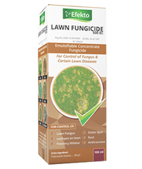 Efekto Lawn Fungicide 100ml