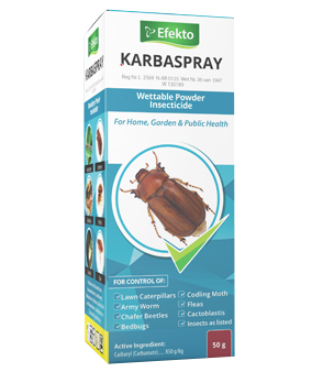 Efekto Karbaspray 50g